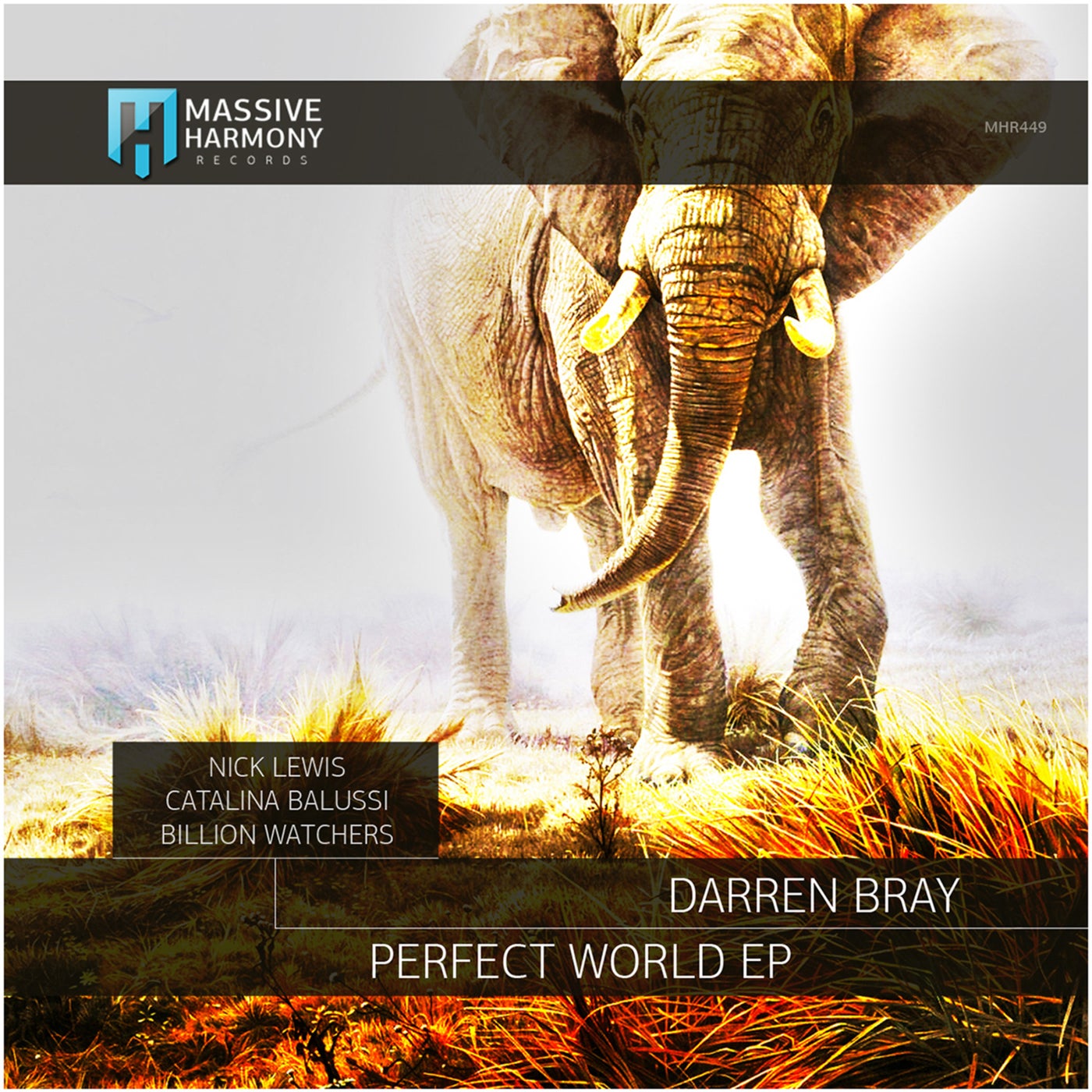 Darren Bray - Perfect World [MHR449]